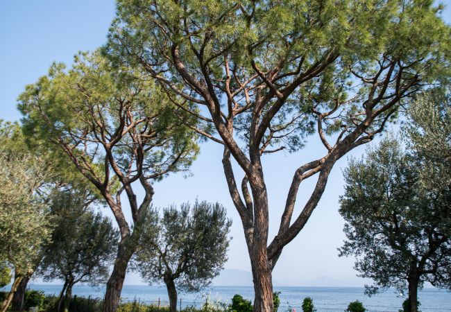 Villa in Manerba del Garda - Villa Elena