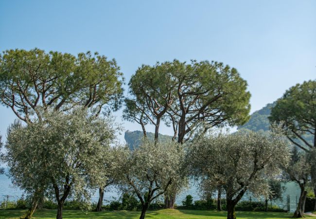 Villa in Manerba del Garda - Villa Elena